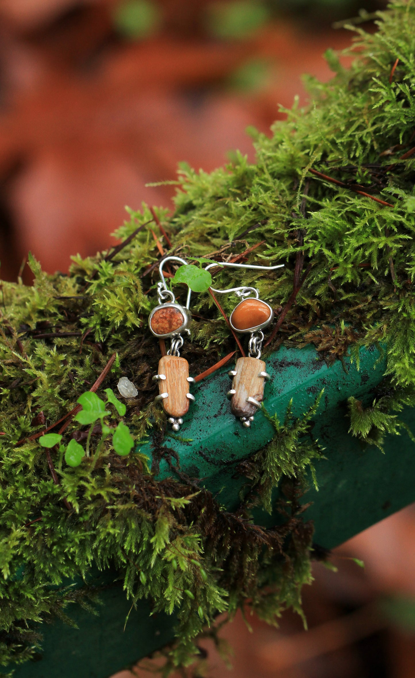 Agate and Petrfied Wood Earrings