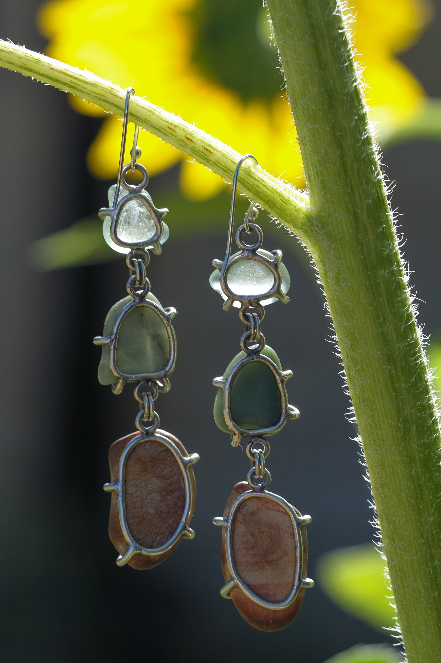 Sea Glass, Petrified Wood, and Beach Rocks
